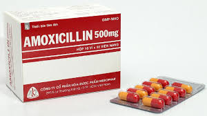 Trình Dược viên tư vấn liều dùng amoxicillin