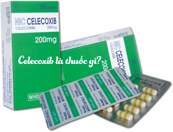 Thận trọng khi dùng thuốc Celecoxib đối với phụ nữ mang thai