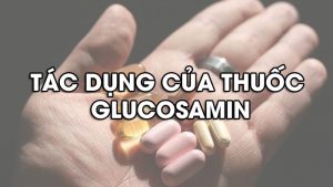  Glucosamin  - thảo dược chữa bệnh thoái hóa khớp