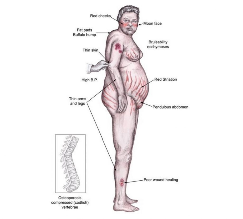 Trường Cao đẳng Y Dược Pasteur