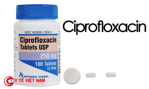 Tìm hiểu thông tin về thuốc Ciprofloxacin