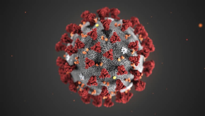 Virus corona (nCoV) đang có xu hướng lan rộng tại Mỹ