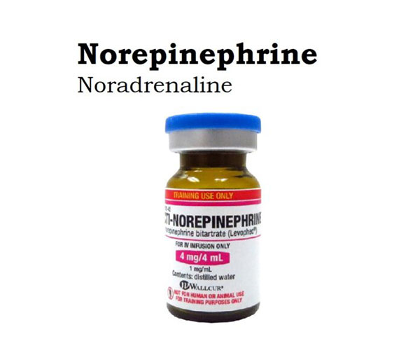 Thuốc Norepinephrine