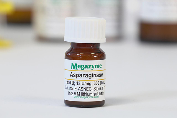 Thông tin cơ bản về thuốc Asparaginase cần biết