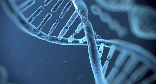 Liệu pháp gen trong điều trị ung thư và nghiên cứu mới tại Viện Công nghệ Massachusetts