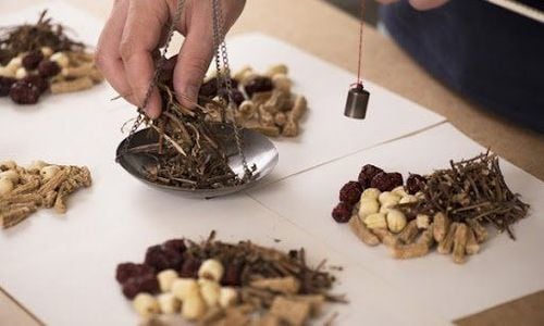 Vạn niên thanh là vị thuốc có thể trị các bệnh trong y học